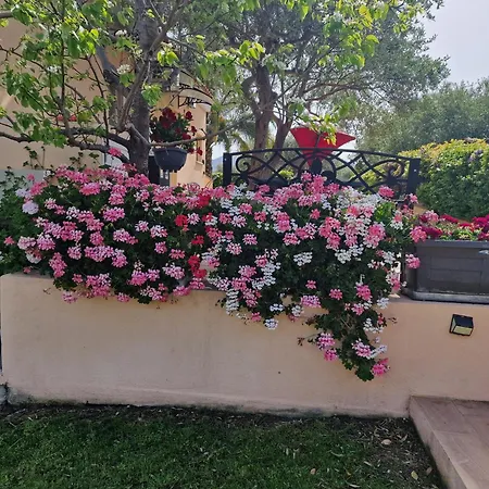 Serena 3*